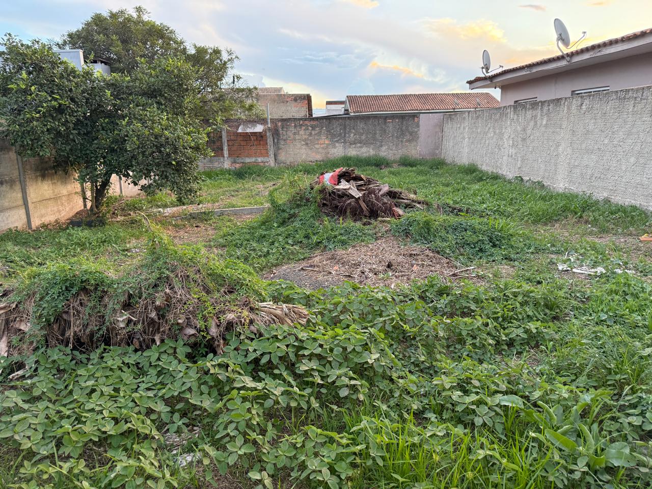 WhatsApp Image 2026-03-19 at 09.31.12