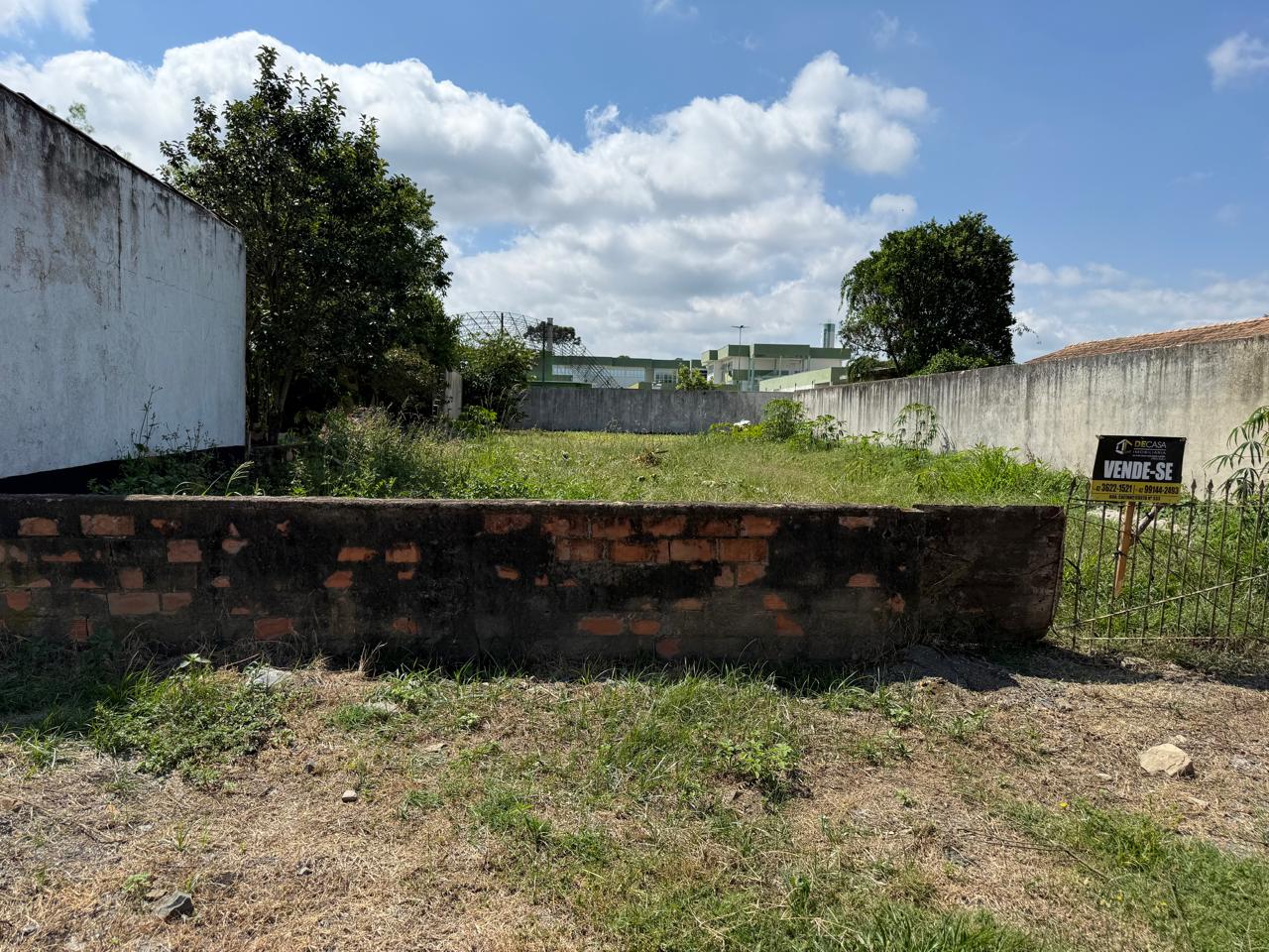 WhatsApp Image 2026-03-20 at 07.54.11