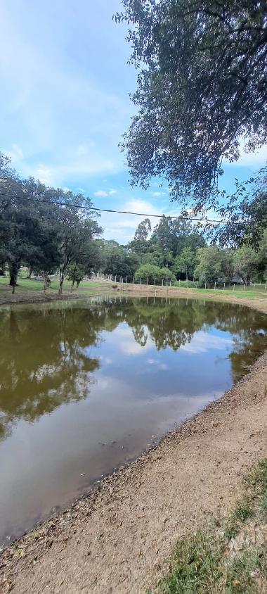 WhatsApp Image 2026-03-27 at 08.11.04