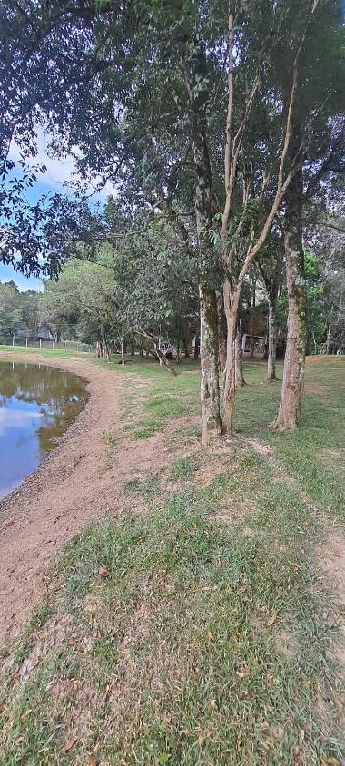 WhatsApp Image 2026-03-27 at 08.11.05